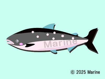 サクラマスのイラスト