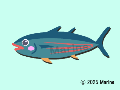 カツオのイラスト