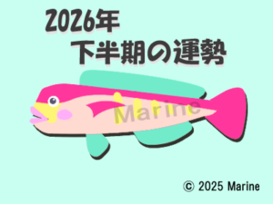 2026年下半期アマダイ